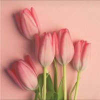 yuki*@婚活苦労人 (@yuk1_223k) 's Twitter Profile