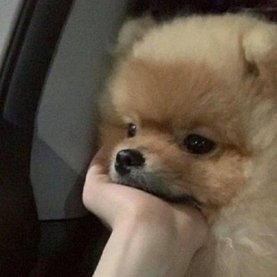 bhh_xyu05's profile picture. เหล้ากับโซดาเป็นของคู่กัน เเต่เราชอบเธออะ