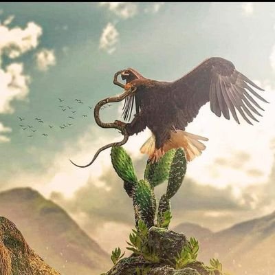Americanista hasta la muerte...