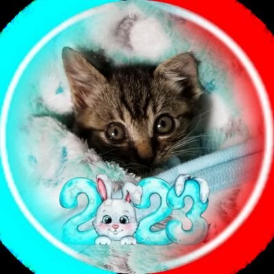 伊豆大島と静岡県熱海市をいったり来たりしてます。現在は仕事で熱海市に在住です。フォロー、いいね、RT宜しくお願いします🙇♂️⤵️