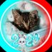 ライマロ🐱伊豆大島 (@ssr20123) Twitter profile photo ライマロ🐱伊豆大島 (@ssr20123) Twitter profile photo