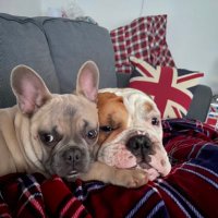 Tracey Hardy (@traceydhardy) 's Twitter Profile Photo Tracey Hardy (@traceydhardy) 's Twitter Profile Photo