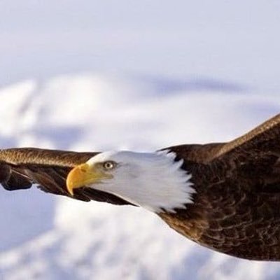 lllrwqy5's profile picture. 