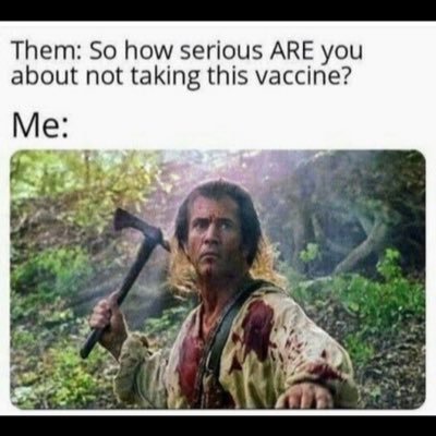 MitchGhezzi's profile picture. Hardworking father. Baseball fanatic, Buffalo Bills fan. The government lies about everything.