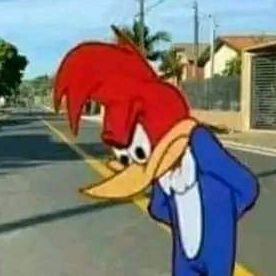 fer231198's profile picture. 