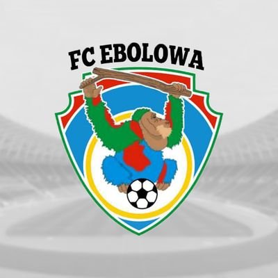 FC Ebolowa Profile