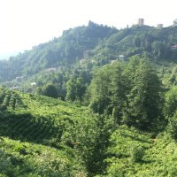 Şenay Öksüz (@senayokszz) 's Twitter Profile Photo