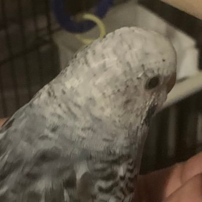 b1g_dj's profile picture. 23 year old idiot trying to make it by, imma be reposting 18+ stuff so if your below 18, get out