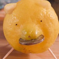 no (@blvckst4rr) 's Twitter Profile