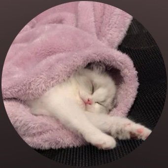 justurkindoff's profile picture. hi