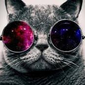 Binnaz(💙,🧡)🐽🛸❤️ Memecoin (@binnaz88434585) Twitter profile photo