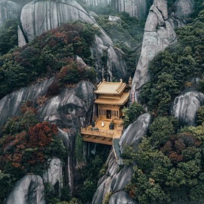 peixin31967536's profile picture. 