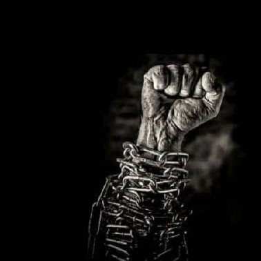 DavidMakero's profile picture. 