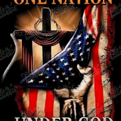 Christian, Constitutional Conservative Family man. United, We Stand. Our Constitution is what Makes America Great and must be defended...