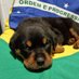 Renata 🇧🇷 (@rcmiari) Twitter profile photo Renata 🇧🇷 (@rcmiari) Twitter profile photo