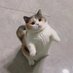 Billu (@billu7billu) Twitter profile photo Billu (@billu7billu) Twitter profile photo