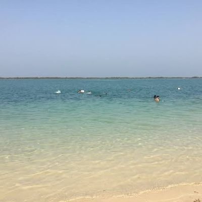 mmdywsf96656739's profile picture. 