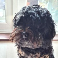 Casual Observations (@ffcandrunning) 's Twitter Profile Photo