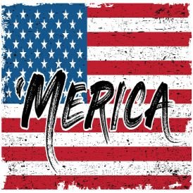 merica8thgen Profile Picture