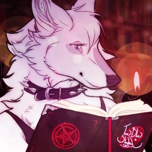 🖤WitchWolf🐺さんのプロフィール画像