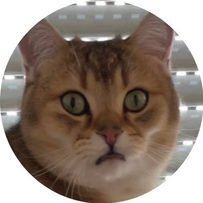 Cat likes Investing ๐ ๐ Profile