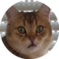 Cat likes Investing 🐈 💎 (@catinvests) 's Twitter Profile Photo Cat likes Investing 🐈 💎 (@catinvests) 's Twitter Profile Photo