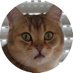 Crypto Cat likes Gems 💎 🐈 Profile picture