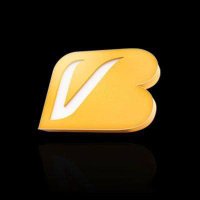 Taşeron VB (@taseronv) Twitter profile photo