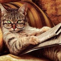Aforismos76 (@aforismos76) 's Twitter Profile