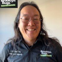 Brooklyn Bugs (@brooklynbugs17) 's Twitter Profile