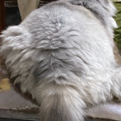 _s33n__'s profile picture. a killjoy