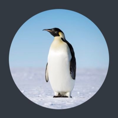 Random Penguin (@Random_Penguin) / Twitter Random Penguin (@Random_Penguin) / Twitter