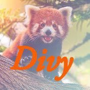 Divy_13's profile picture. Blackhawks Fan For Life. 🔴⚫️⚪️ CONNOR F’ING BEDARD. Florida Panthers Enjoyer 🏆🏆🏆🏆🏆