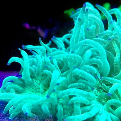 Aleksander15622's profile picture. 