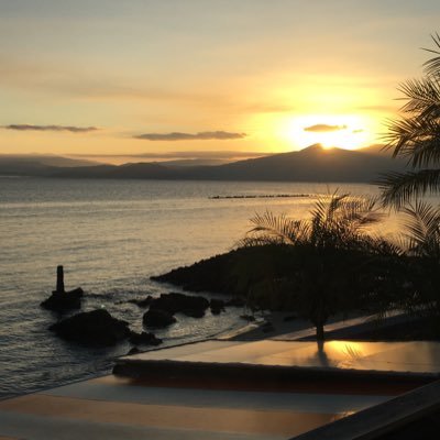 Koko06699383's profile picture. 