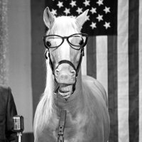 Mares Eat Oats, 🌎 (@talk2hoof) 's Twitter Profile
