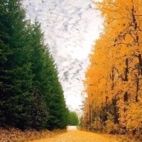 Stair na hÉireann | History of Ireland 🇮🇪 (@stairnahireann) 's Twitter Profile Photo Stair na hÉireann | History of Ireland 🇮🇪 (@stairnahireann) 's Twitter Profile Photo