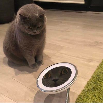 Turbo🇺🇦 Profile