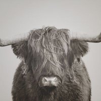 The Bull Pen (@the_bull_pen1) 's Twitter Profile