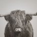 The Bull Pen (@the_bull_pen1) Twitter profile photo The Bull Pen (@the_bull_pen1) Twitter profile photo