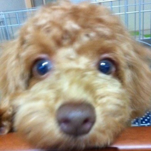 dkibawestingw's profile picture. 美味ぁ〜い 『飲食店』 食べ歩き！               『大阪、神戸、京都』中心に食す‼                        公私ともに素敵な店 探索中(*☻-☻*)         いい店あったら教えてください(^-^)/