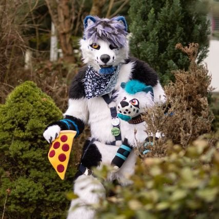 ☆ Introvert🏠 ☆ 🚅Traindriver ☆ Gamer🎮 ☆ Fursuiter🐺 ☆  ♡Love my @Octa_Fox ♡