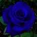 Arxsia/Rose 🌹🐉📚🎵 (@roseduelistarx) Twitter profile photo Arxsia/Rose 🌹🐉📚🎵 (@roseduelistarx) Twitter profile photo