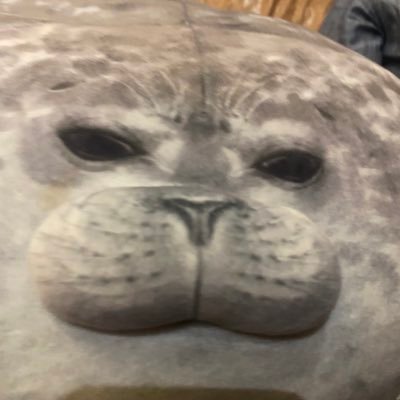 よらかさんのプロフィール画像