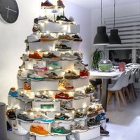 CashSlave_Sneakers (1,9K) (@cashslavesneak1) 's Twitter Profile