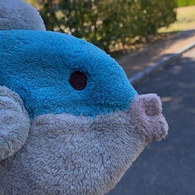 M66520511's profile picture. 