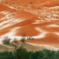 قرناس (@h56d12) 's Twitter Profile