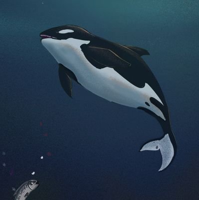 _FRZFPX's profile picture. ا