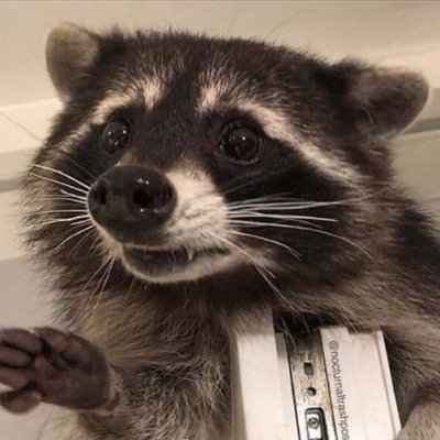 tさんのプロフィール画像