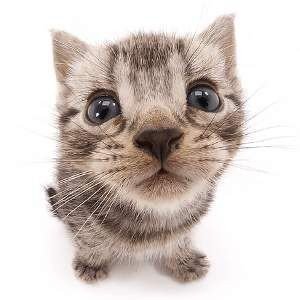 kimdddiii's profile picture.